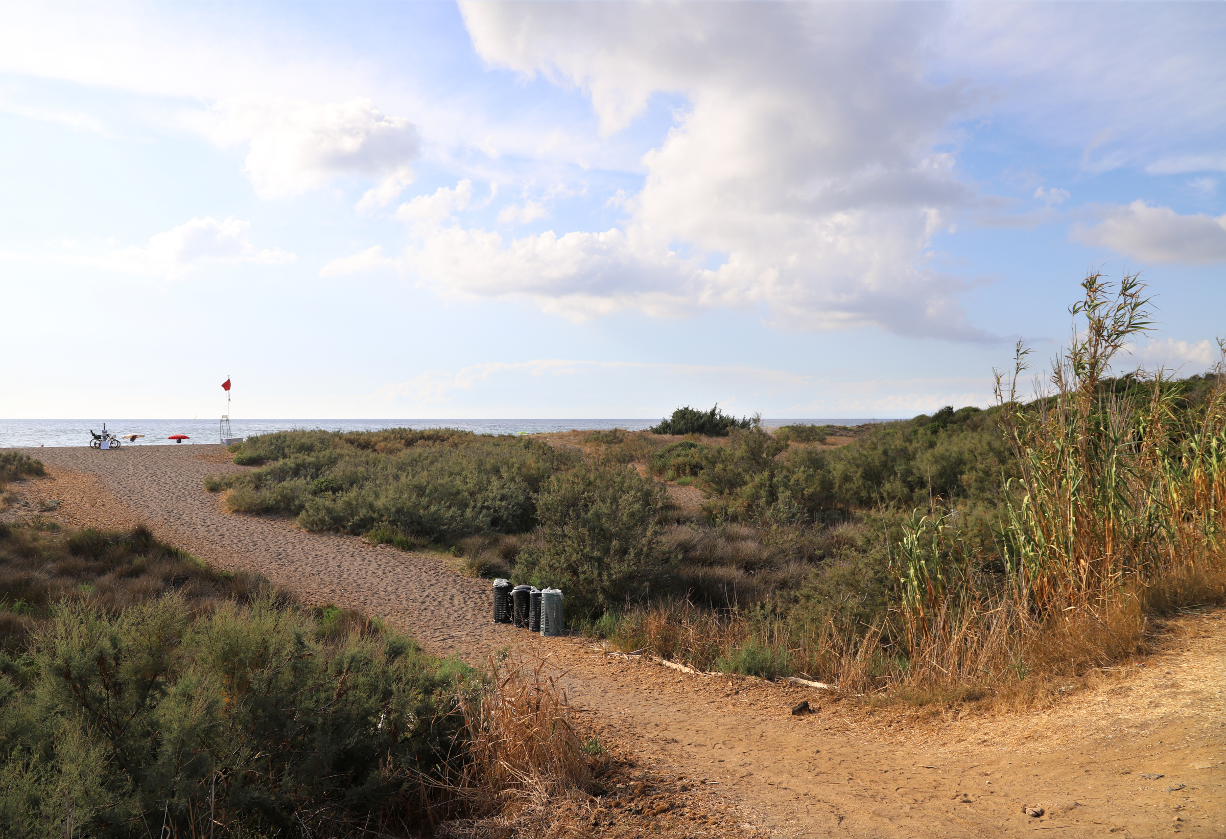 San Vincenzo